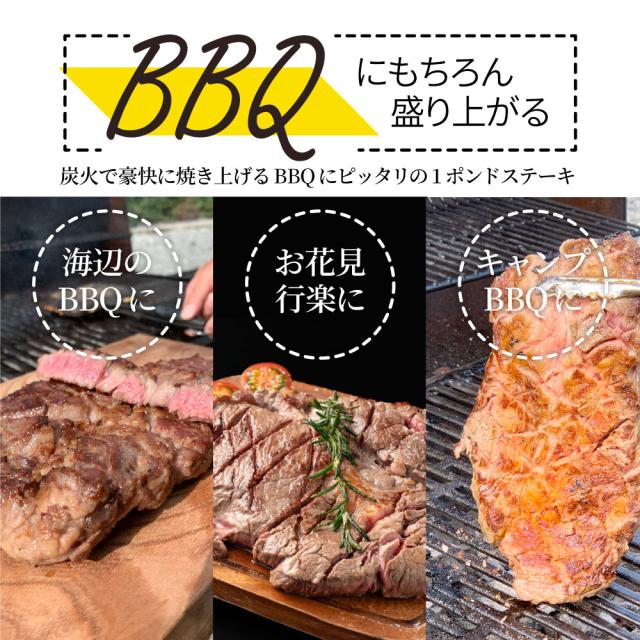 スパイシーガーリックステーキ 1重量ポンド 一重量ポンド ワンポンドステーキ 牛肩ロース 音の大きさ 完全無欠さ 1,350g(450g×3) 凝結 貨物輸送無料＊当日送りとどける客体 お肉の しゃぶまる