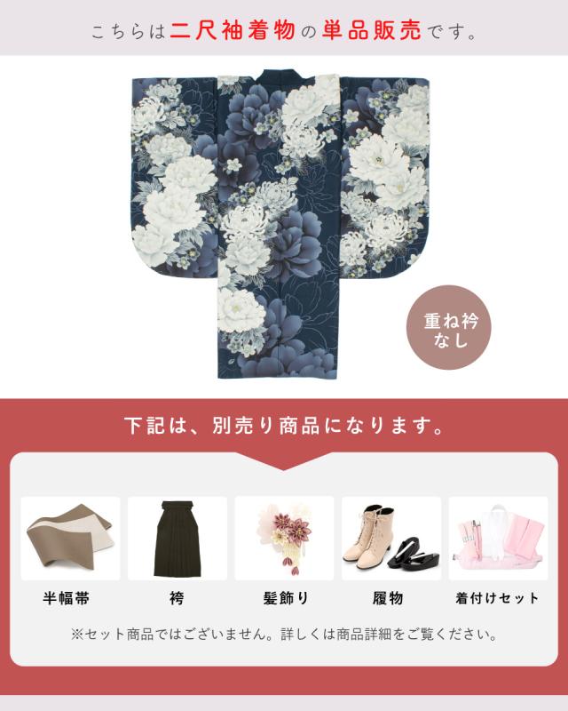 二尺袖 単品 着物 ショート丈 レディース 絵羽柄 卒業式 白 緑 紺 青