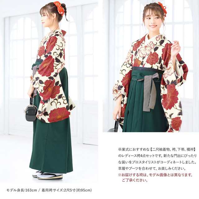 色留袖 身長151-166cm 三つ紋 it-049（【レンタル】訪問着 フル