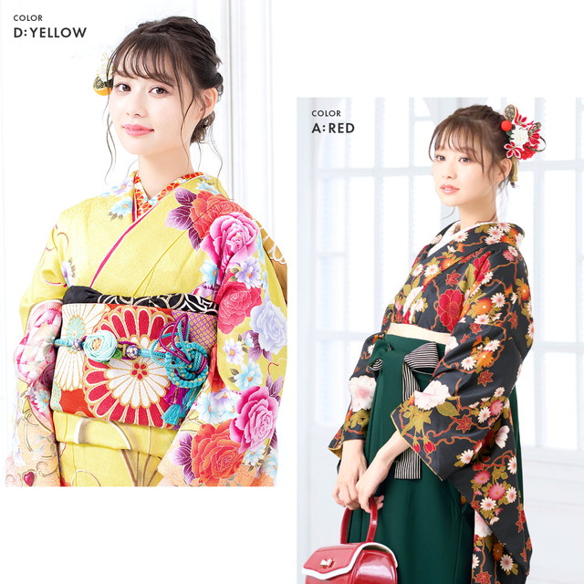 成人式 髪飾り 成人式の髪飾り 2点セット 菊 ピンポンマム 花