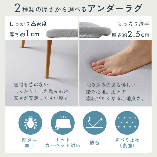 ラグ パッド 下敷き 3畳用 厚手 カーペット ラグマット 滑り止め 高反発 ズレにくい 防ダニ 防音 ホットカーペット対応 床暖房対応 オールシーズン リビング アイリスオーヤマ ハガッシュ Hagash 約170×225cm アンダーラグ HAGU25-1824 * 送料無料_9