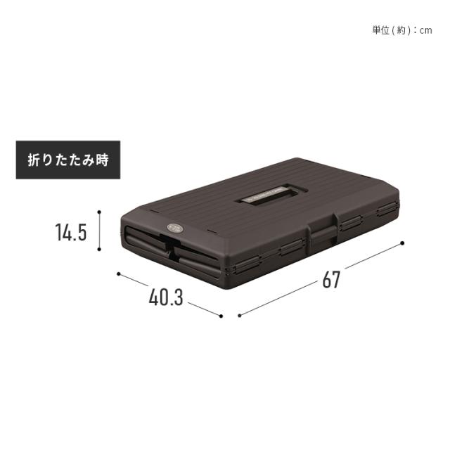 キャリーケース 犬 プラキャリー 折りたたみペットキャリー アイリスオーヤマ アイボリー ブラウン FC-670 全2色 ペットキャリー コンテナ 折りたたみ キャリー 移動用 車 病院 通院 ペット通院 犬キャリー 猫キャリー いぬ イヌ ドッグ dog わんこ 小型犬 中型犬 送料無料_14