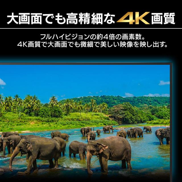 【設置サービス対象】 大型ディスプレイ 55型 4K 高精細 ハーフグレア 反射を低減 壁掛け オフィス 会議 学校 授業 55v型 大型モニター 液晶ディスプレイ アイリスオーヤマ【HS】_1