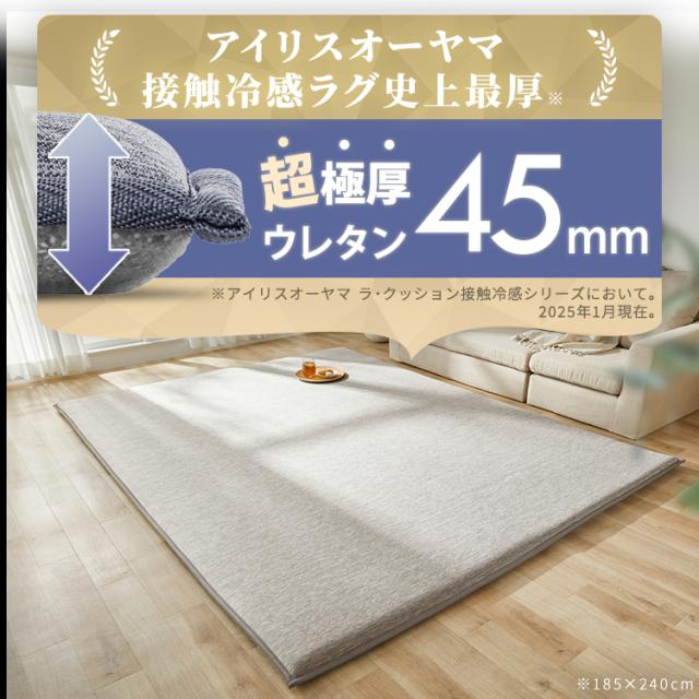 OFFクーポン!~5/14 9:59／ラグ 夏用 2畳 接触冷感 ひんやり 冷感ラグ 