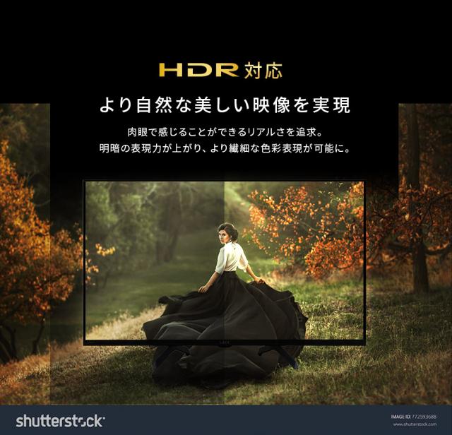 テレビ 32v 型 液晶テレビ 本体 新品 スマートテレビ ネット対応 GoogleTV チューナー内蔵 HD ハイビジョン Wチューナー 裏番組録画 音声検索 セカンドテレビ 2台目 tv 一人暮らし 32 アイリスオーヤマ LT-32WGX-F1 *_9
