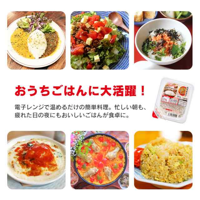 パックご飯 150g 40食パック アイリスオーヤマ お米 パック