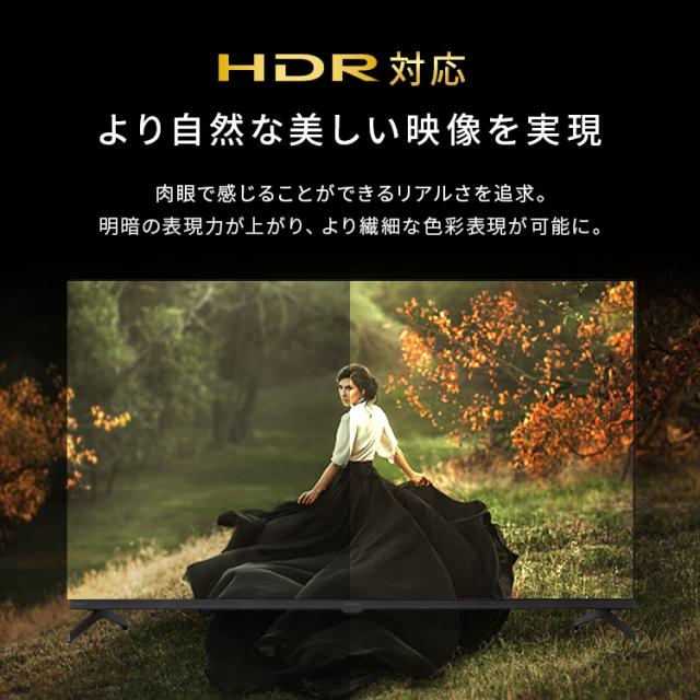 テレビ 液晶テレビ 43v 型 テレビ本体 4Kチューナー内蔵テレビ GoogleTV ネット対応 スマートテレビ 動画配信サービス ダブルチューナー 裏番組録画 Googleアシスタント 音声検索 音声操作 tv 43 アイリスオーヤマ LT-43UGX-F1 *_4