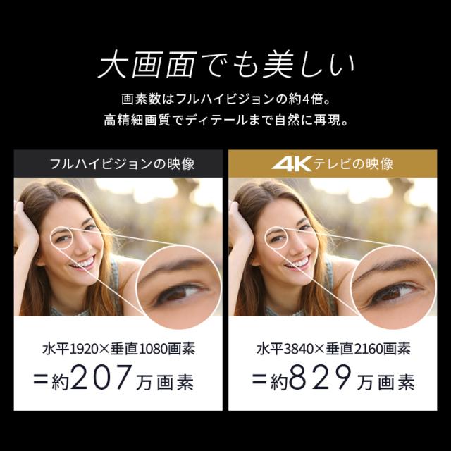 テレビ 液晶テレビ 43v 型 テレビ本体 4Kチューナー内蔵テレビ GoogleTV ネット対応 スマートテレビ 動画配信サービス ダブルチューナー 裏番組録画 Googleアシスタント 音声検索 音声操作 tv 43 アイリスオーヤマ LT-43UGX-F1 *_5