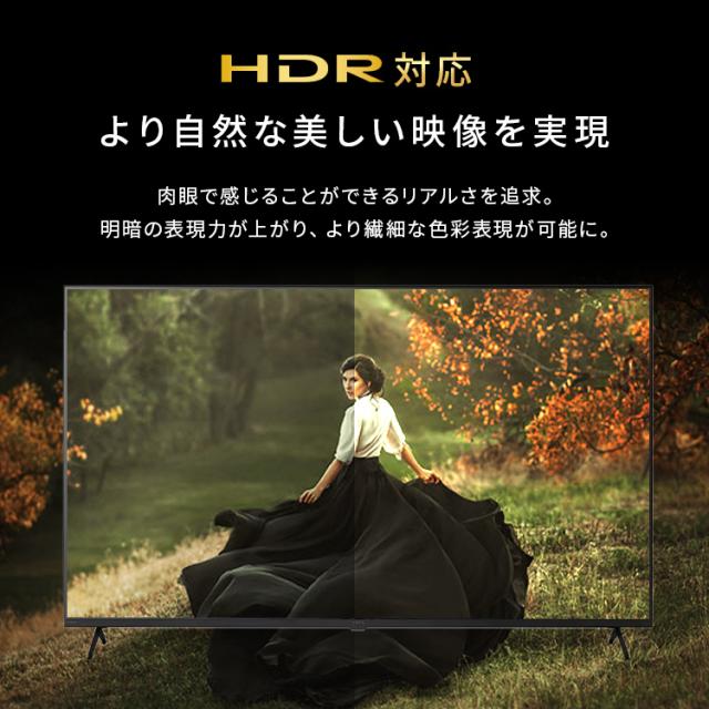 テレビ 55v 型 液晶テレビ 本体 4Kチューナー内蔵テレビ GoogleTV ネット対応 スマートテレビ 動画配信サービス 大画面 ダブルチューナー 裏番組録画 Googleアシスタント 音声検索 音声操作 tv 55 アイリスオーヤマ LT-55UGX-F1 *_4