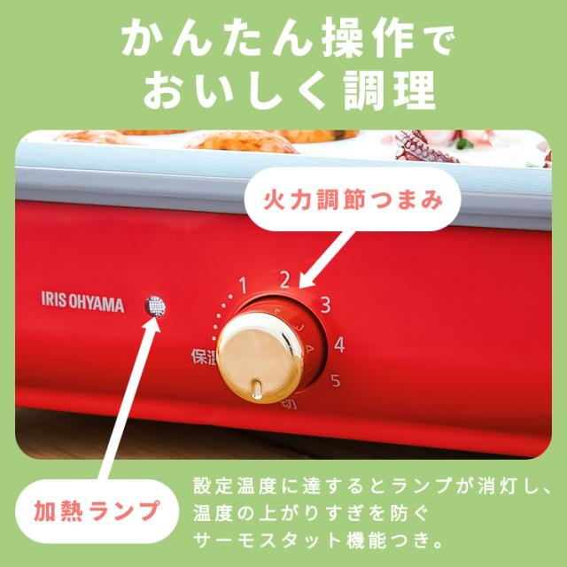 ホットプレート たこ焼き 深鍋 プレート2種 最大250℃ 温度調節可