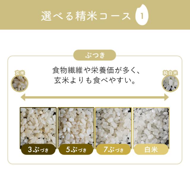 6000円OFFクーポン!~5/26 9:59／精米機 家庭用 アイリスオーヤマ 5合