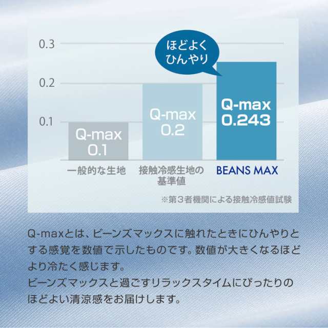 ソファー 2人掛け ビーズクッション ソファ 二人掛け 日本製 座椅子 おしゃれ もちもち 特大 送料無料 ビーンズMAX 一人用一人掛け グレ｜au  PAY マーケット