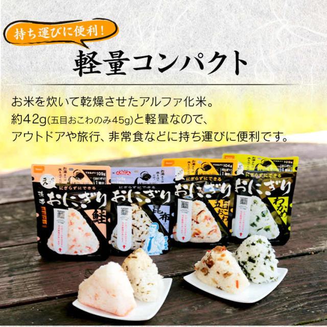 非常食 防災【12食】 携帯おにぎり 4種×3個セット 鮭・わかめ・おこわ