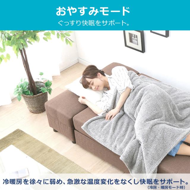 エアコン 6畳 2.2kw アイリスオーヤマ 音声操作 室温キープ機能 ON・OFFタイマー 内部洗浄機能 省エネ 本体 室外機 リモコンセット  IAF-2206GV 安心延長保証対象の通販は