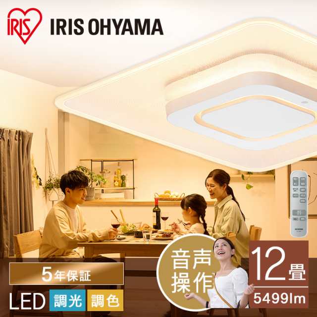 LEDシーリングライト 音声操作 パネルライト 12畳 CEK-A12DLPSV ホワイト シーリングライト 12畳 LED ライト 電気 電灯  あかり 調光 調｜au PAY マーケット