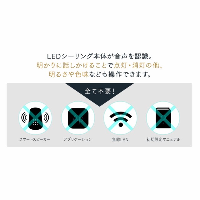 LEDシーリングライト 音声操作 パネルライト 12畳 CEK-A12DLPSV