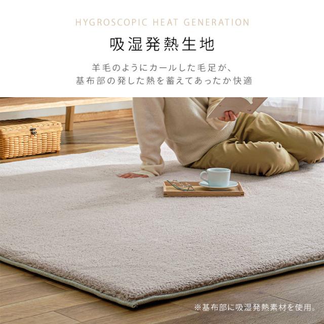 ラグ 厚手 ラグマット 185cm×240cm 3畳 ラ・クッションラグ シープ調ボア ACRSB-1824 カーペット おしゃれ 厚手 防音 遮音  暖房 コンパクト  すべり止め 滑り止め マット リビング 厚め あったか ホットカーペット対応 アイリスオーヤマ 【int】_3