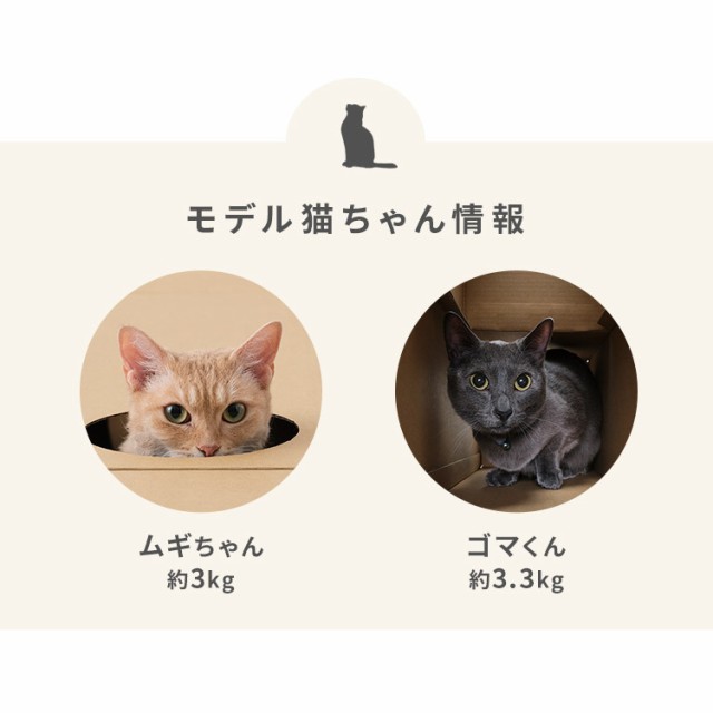 ねこねこトンネル P-NT 全3種 キャットトンネル 猫 ねこ ネコ トンネル