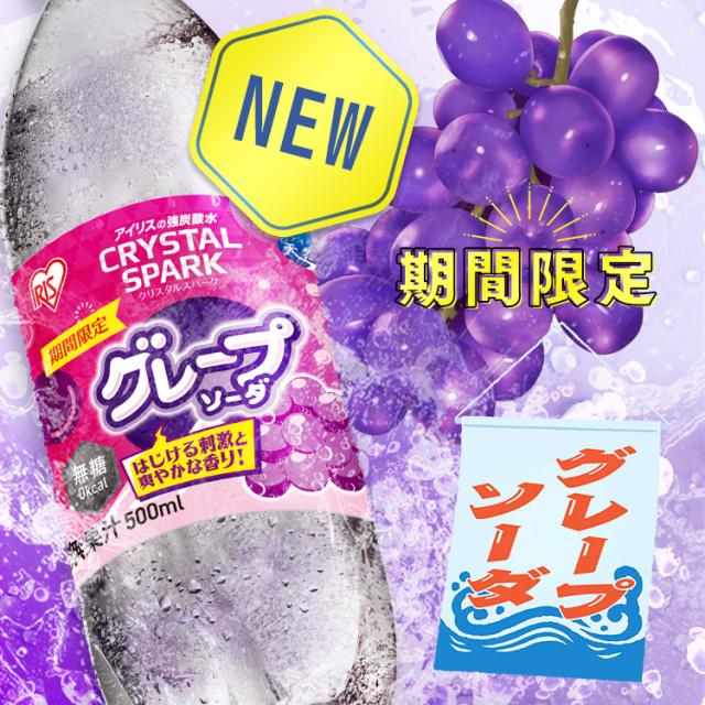 250円OFFクーポン!~3/11 9:59／炭酸水 500ml 48本 (24本入×2箱) 強炭酸