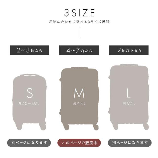 char【2個セット】スーツケース　63L 3-5泊 軽くて強い スーツケース キャリーケース Mサイズ 4〜7泊 約63L TSAロック付