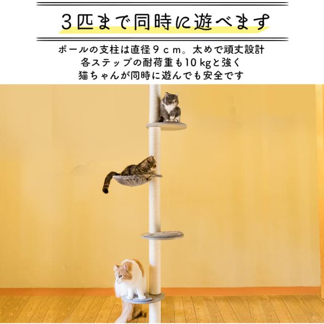 キャットタワー 木登りキャットタワー KCCT-244 全2色 キャット