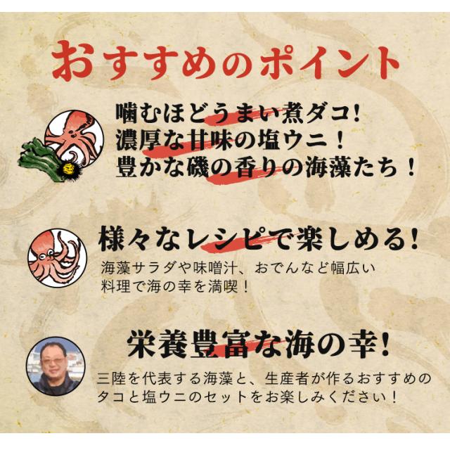 たこと海藻セット（三陸産） [代引不可] たこ 三陸産 塩ウニ お取り寄せ 冷凍 気仙沼 わかめ 茎わかめ 昆布 送料無料 三陸未来_3