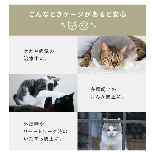 ファニチャースタイルケージ PFSC-603 ダークブラウン ケージ 猫 ねこ ネコ Cat cat キャット ねこちゃん オシャレ インテリア ペット ハウス cage CAGE 猫用ケージ ナチュラル アイリスオーヤマ 送料無料_17