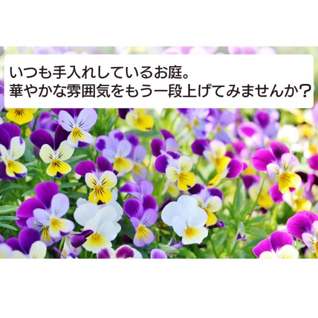ヘッジトリマー 園芸 ガーデニング ダブルロック 安全スイッチ 生垣 庭木 庭 草刈り機 ホワイト AHT610 アイリスオーヤマ 送料無料 outlet