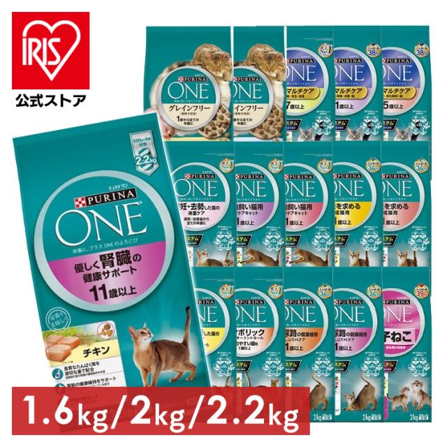 ピュリナワン 猫ドライフード 美味を求める成猫用　2kg ６袋 ピュリナワンキャット 美味を求める成猫用 1歳以上 チキン 2kg