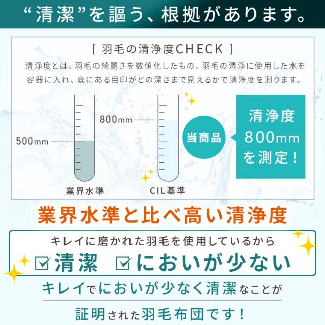羽毛布団 ダブル 羽毛掛け布団 ホワイトダックダウン WDD85%1.4kg 無地 ダブル 掛け布団 掛布団 羽毛布団 羽毛 布団 ホワイトダックダウン ダウン ダブル 暖かい ふんわり おしゃれ 無地 D 送料無料_11