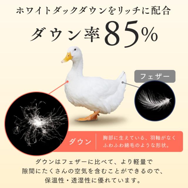 羽毛布団 ダブル 羽毛掛け布団 ホワイトダックダウン WDD85%1.4kg 無地 ダブル 掛け布団 掛布団 羽毛布団 羽毛 布団 ホワイトダックダウン ダウン ダブル 暖かい ふんわり おしゃれ 無地 D 送料無料_6