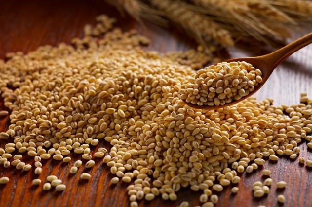 毎日健康もちまるちゃん 1kg もち麦 もちまるちゃん 西田精麦 九州産の通販はau Pay マーケット アイリスプラザ Au Payマーケット店