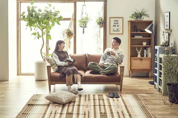 姫家具 nora ノラ Dama ダーマ 2Pソファ 355774 [代引不可]【B】 全3色