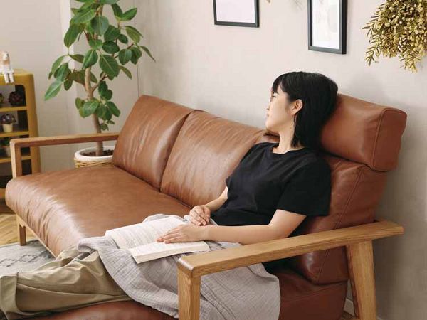 nora ノラ Dama ダーマ 2Pソファ 355774 [代引不可]【B】 全3色 ソファ