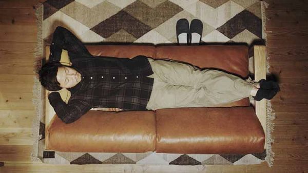 姫家具 関家具 nora ノラ Dama ダーマ 2Pソファ 355774 (代引不可)(TD