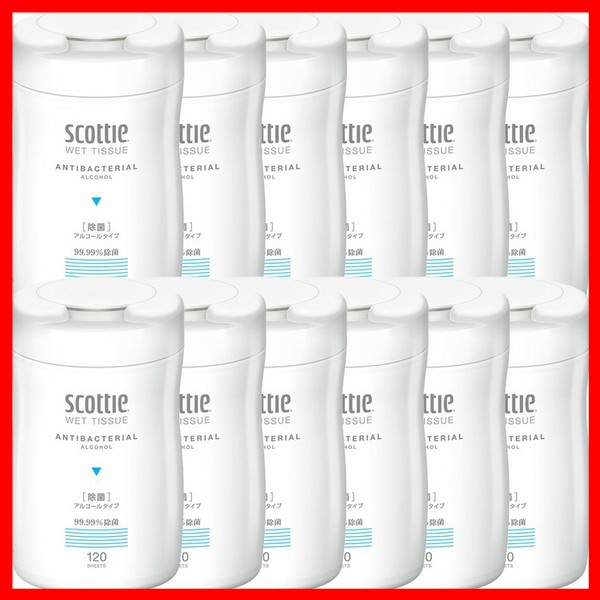ティッシュ 【12個セット】スコッティ ウェットティッシュ 除菌 アルコールタイプ 本体 120枚 スコッティ scottie ウェットティシュー ウェットティッシュ ぬれティッシュ ボトル 除菌アルコール 本体 大容量 シンプルの通販は 5,440円