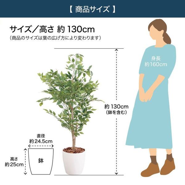 確認中 ベンジャミン 23029 [代引不可] 全2色 ベンジャミン フェイクグリーン