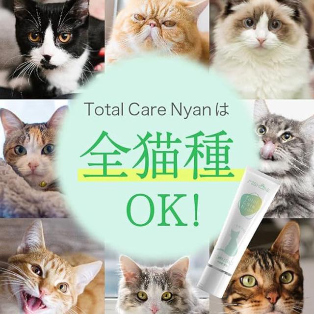歯磨きジェル 猫用 ヒューマングレード ミシュワン Total Care Nyan