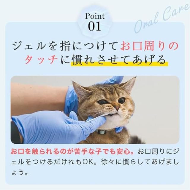 歯磨きジェル 猫用 ヒューマングレード ミシュワン Total Care Nyan