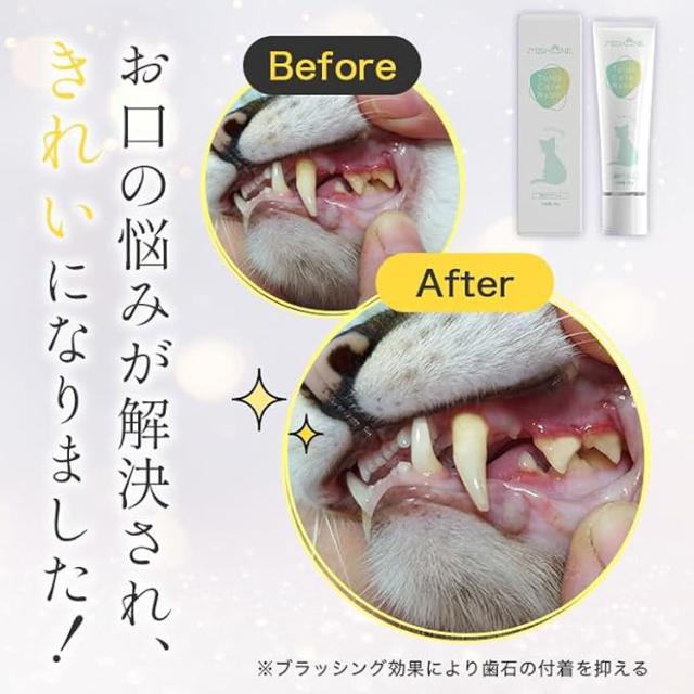 MISHIONE Total Care Nyan 猫用ケアジェル 30g×5箱 歯磨きジェル 猫用 ヒューマングレード ミシュワン Total Care Nyan