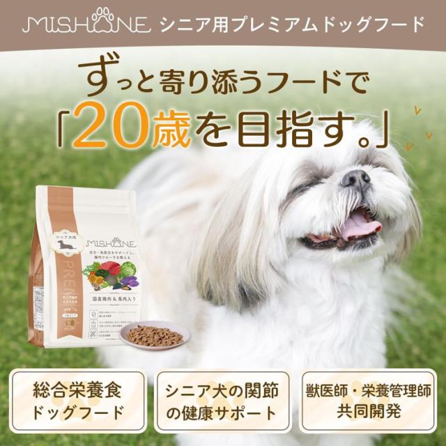 (3個セット)ドッグフード ドライフード シニア ミシュワン 1kg MISHONE 【B】 ドッグフード ドライフード シニア 小粒 総合栄養食 ドライ 乳酸菌 ヒューマングレード 腸内フローラ 緑イ貝 関節 ペットフード 犬 送料無料_1