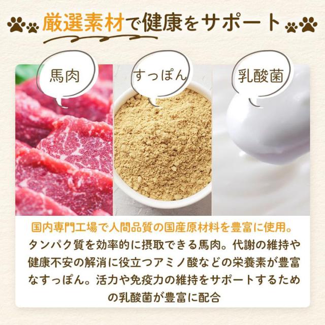 (3個セット)ドッグフード ドライフード シニア ミシュワン 1kg MISHONE 【B】 ドッグフード ドライフード シニア 小粒 総合栄養食 ドライ 乳酸菌 ヒューマングレード 腸内フローラ 緑イ貝 関節 ペットフード 犬 送料無料_3
