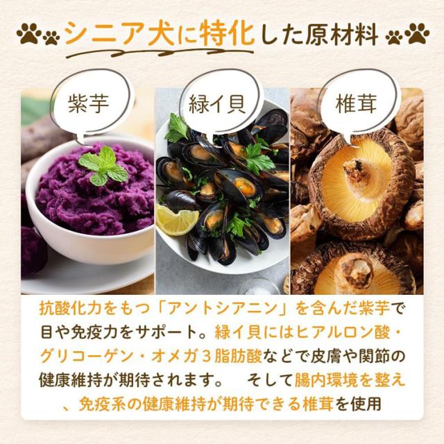 (3個セット)ドッグフード ドライフード シニア ミシュワン 1kg MISHONE 【B】 ドッグフード ドライフード シニア 小粒 総合栄養食 ドライ 乳酸菌 ヒューマングレード 腸内フローラ 緑イ貝 関節 ペットフード 犬 送料無料_4