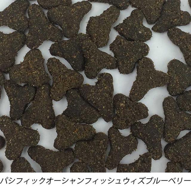 ファーストメイトキャット POフィッシュ ウィズ ブルーベリー 4.54ｋｇ ボンビアルコン 【B】 ファーストメイト FirstMate FM 猫用 猫 キャットフード フィッシュ グレインフリー 穀物不使用 フードローテーション 送料無料_1