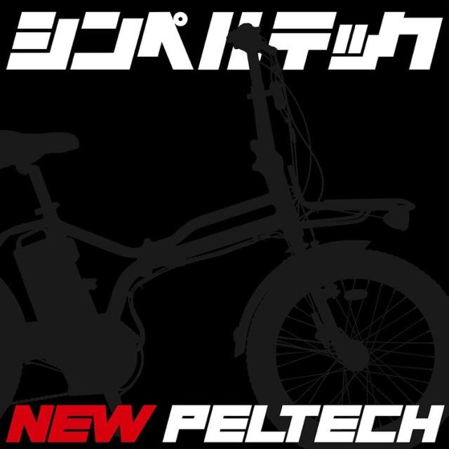 電動自転車 本体 折り畳み 20インチ 電動アシスト自転車 ハイパワー