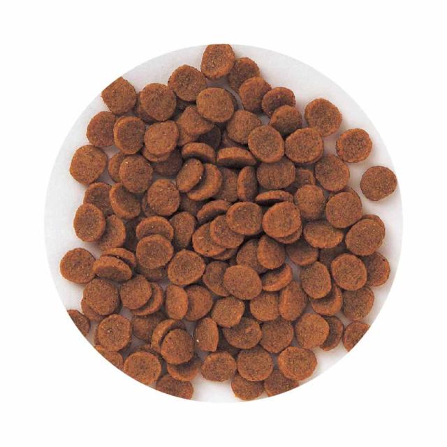 フィッシュ＆ポテト 子犬・成犬用 14.5kg 森乳サンワールド スーパーゴールド フィッシュ＆ポテト 成犬 子犬 フード グルテンフリー 低アレルゲン ユッカ抽出物 皮膚 被毛 送料無料_1