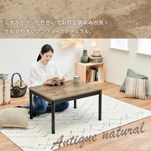 こたつ＋うす掛け布団 2点セット ｱﾙﾃﾅ7560ANA+ﾋﾞｹ7560BE [代引不可