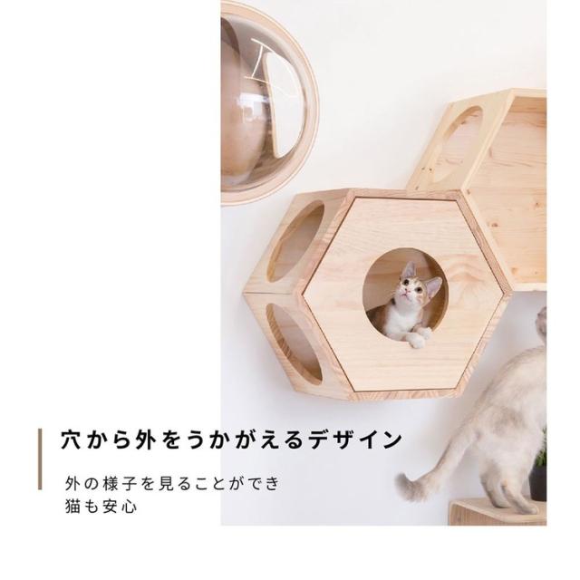 ネコハウス&キャットステップ 六角BOXキャットウォーク壁取り付け