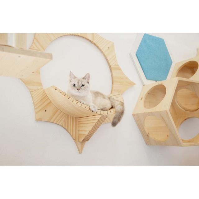 キャットウォーク キャットステップ 猫用品 ペット用品 猫家具 猫ベッド 壁掛け ペット共生 猫部屋 賃貸おすすめ SOLAR MZ0043 キャットウォーク キャットステップ 猫用品 ペット用品 猫家具 猫ベッド 壁掛け ペット共生 猫部屋 賃貸おすすめ 送料無料_7