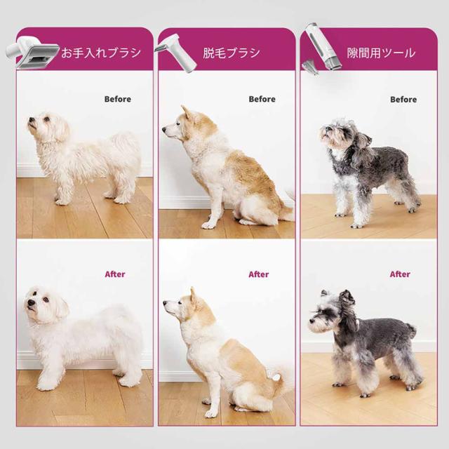 ペット用品 バリカン 掃除機 ブラシ 静音 お手入れ 毛 トリミング 猫 犬 ペット用バリカン掃除機 LM4 PETKIT 【B】 ペット用品 バリカン 掃除機 ブラシ 静音 お手入れ 毛 トリミング 猫 犬 送料無料_3